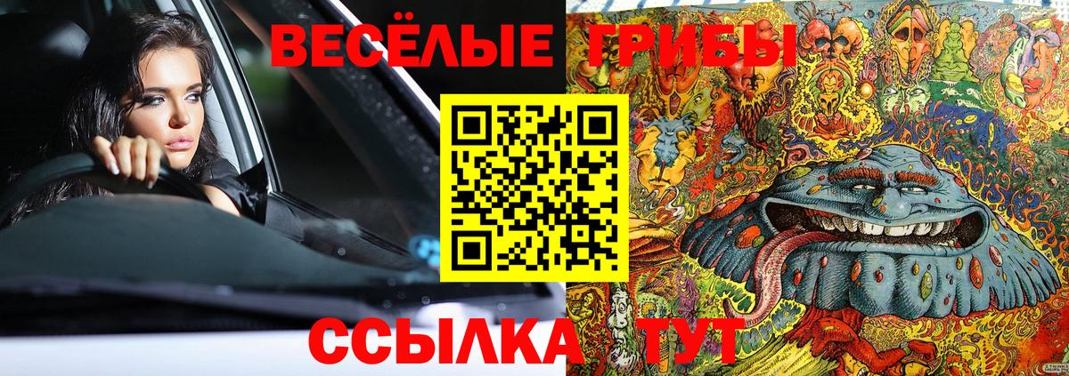 Галлюциногенные грибы Cubensis  Вход с VPN  Керчь 