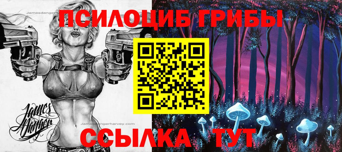 Галлюциногенные грибы прущие грибы Керчь